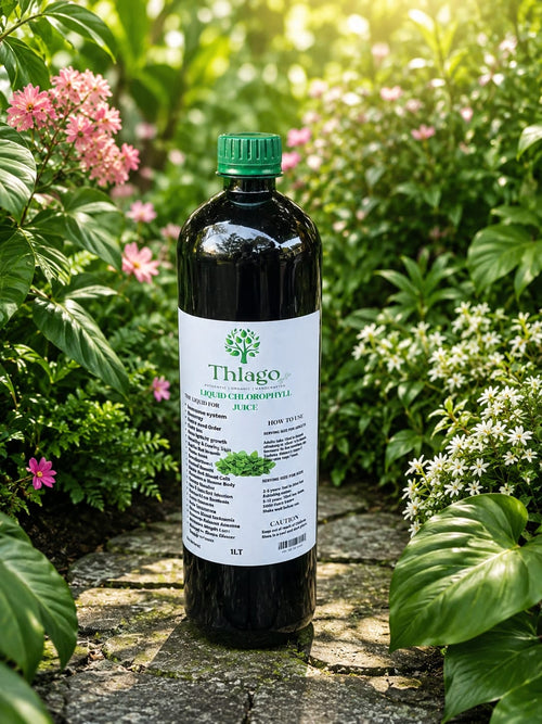 Chlorophyll
